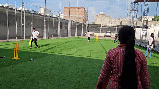 Turf View